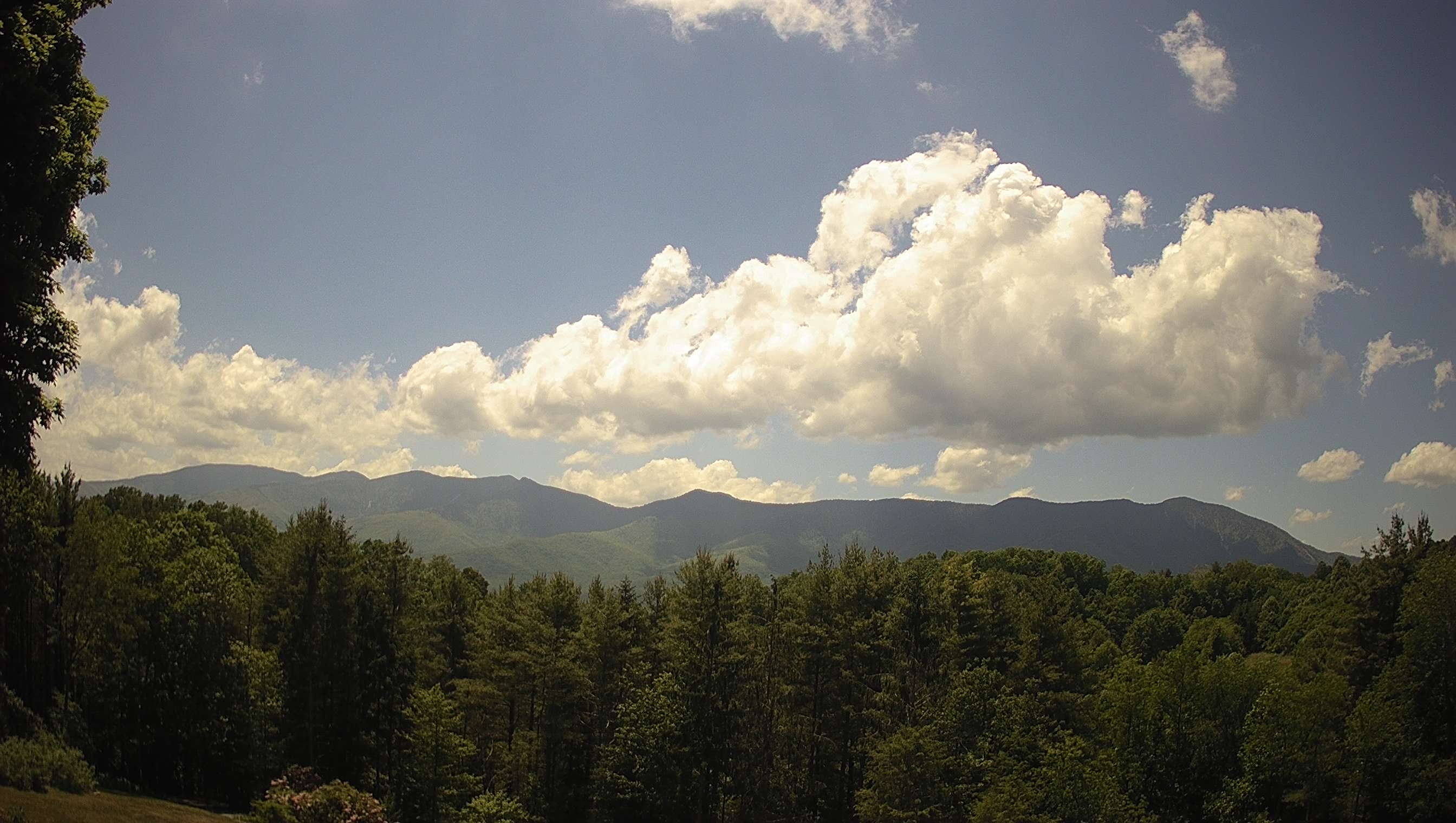 slideshow image
