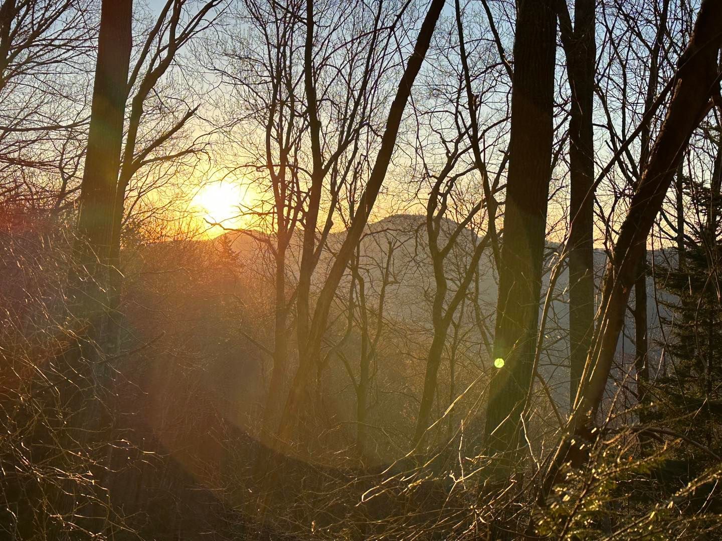 View from trail