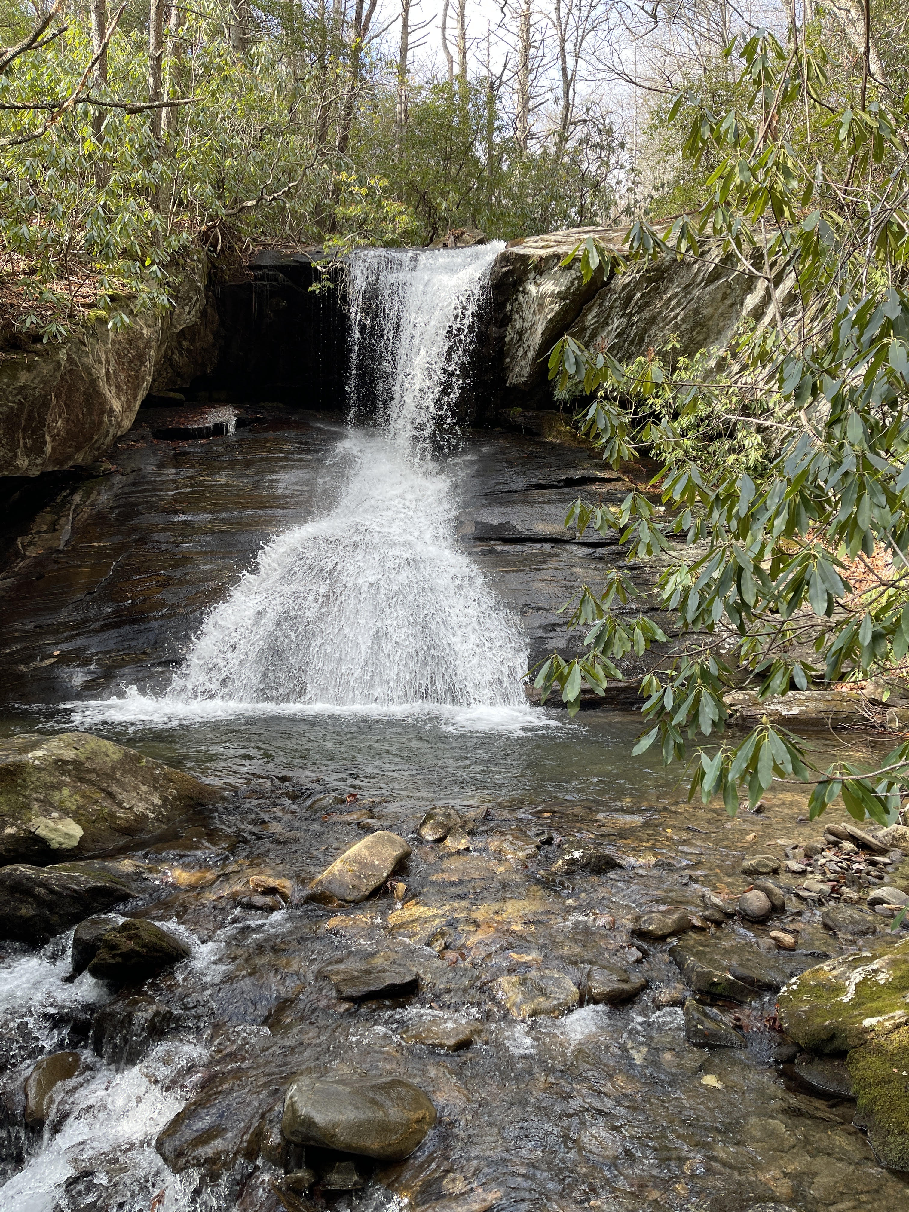 Locust falls