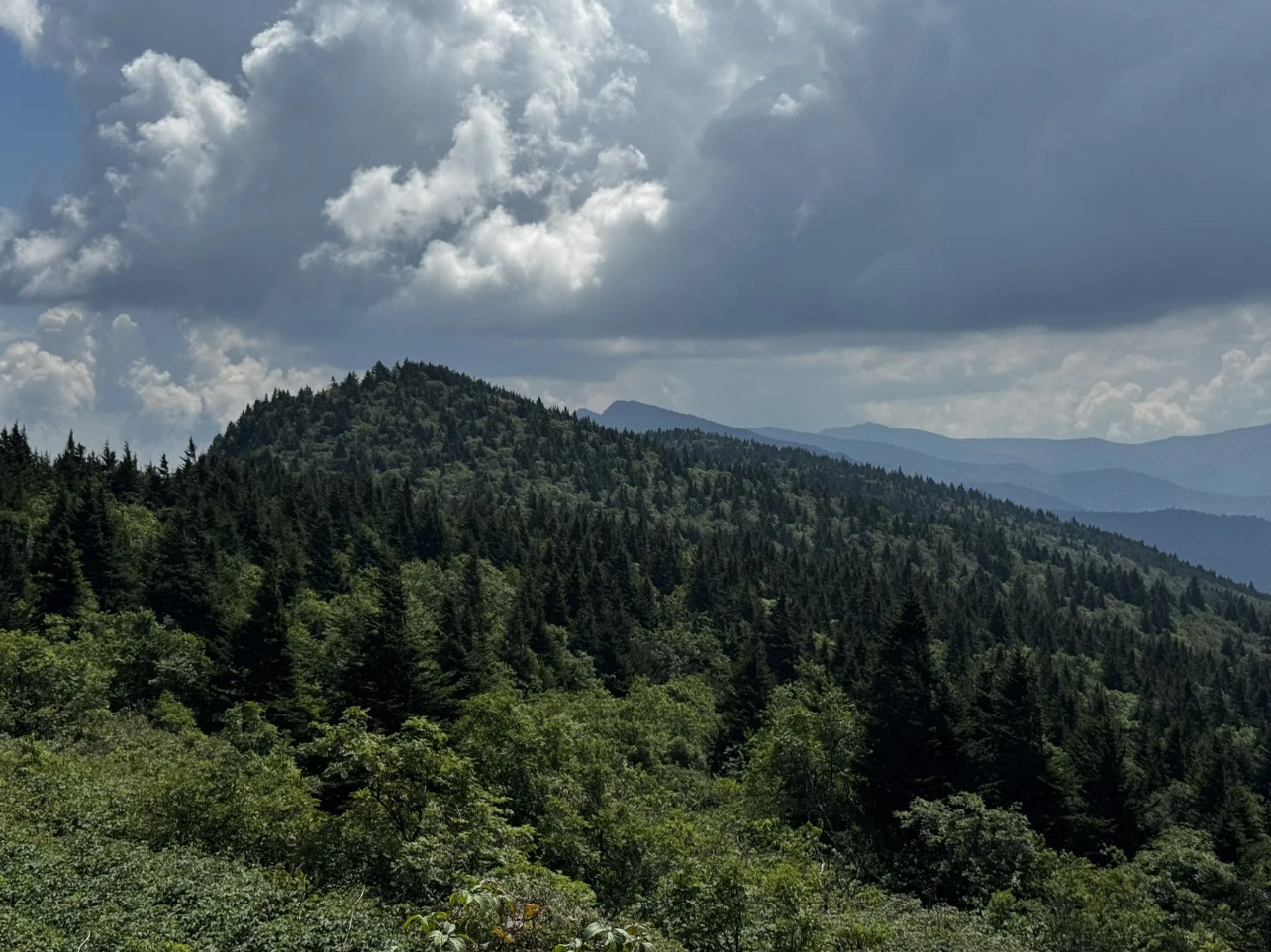 View from Crest Trail