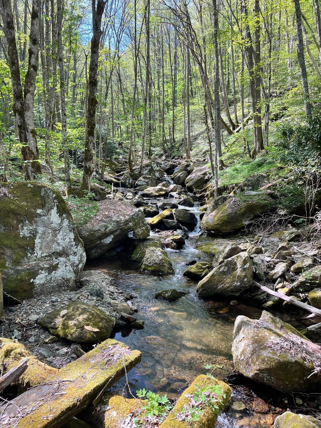 Bolens Creek