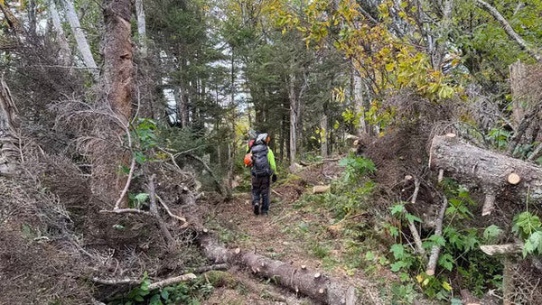 Trail maintainers at work