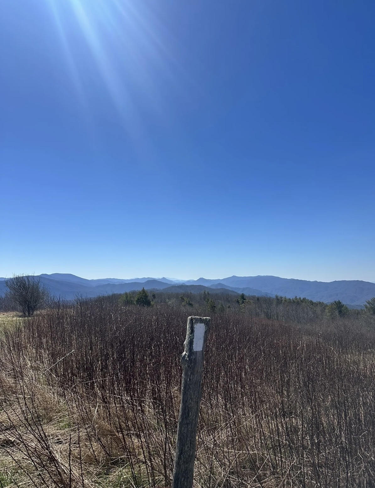 View from Beauty Spot 
