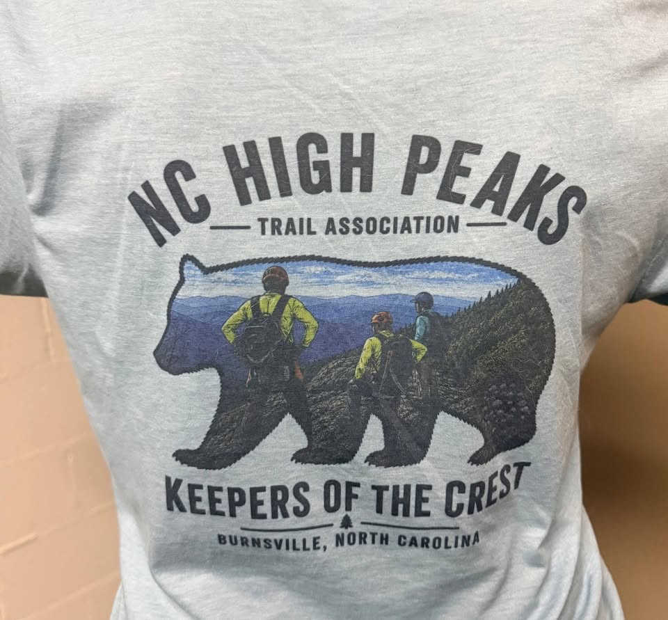 Bear logo t-shirt