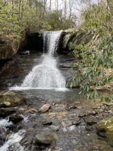 Locust falls