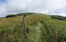 Hump Mountain