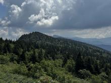 View from Crest Trail
