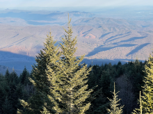 View from Mount Mitchell