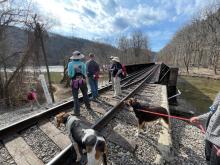 Laurel River-French Broad