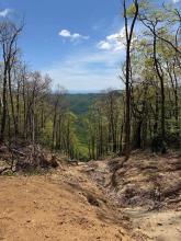 Slide at Higgins Bald