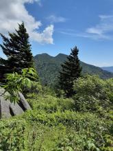 View from Winter Star