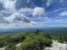 View from Tanawa Trail